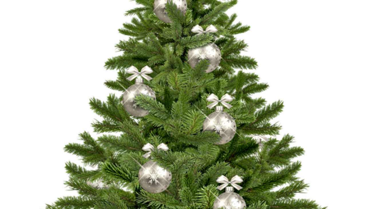 christmas-tree-g86752c8d6_640