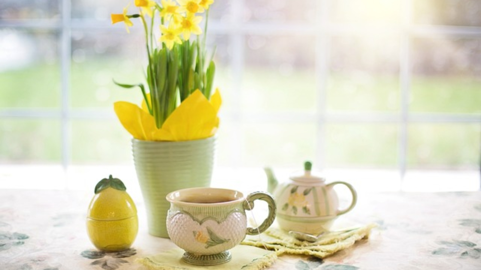 daffodils-1316127_640